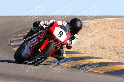 media/Feb-12-2022-SoCal Trackdays (Sat) [[3b21b94a56]]/Turn 12 (140pm)/